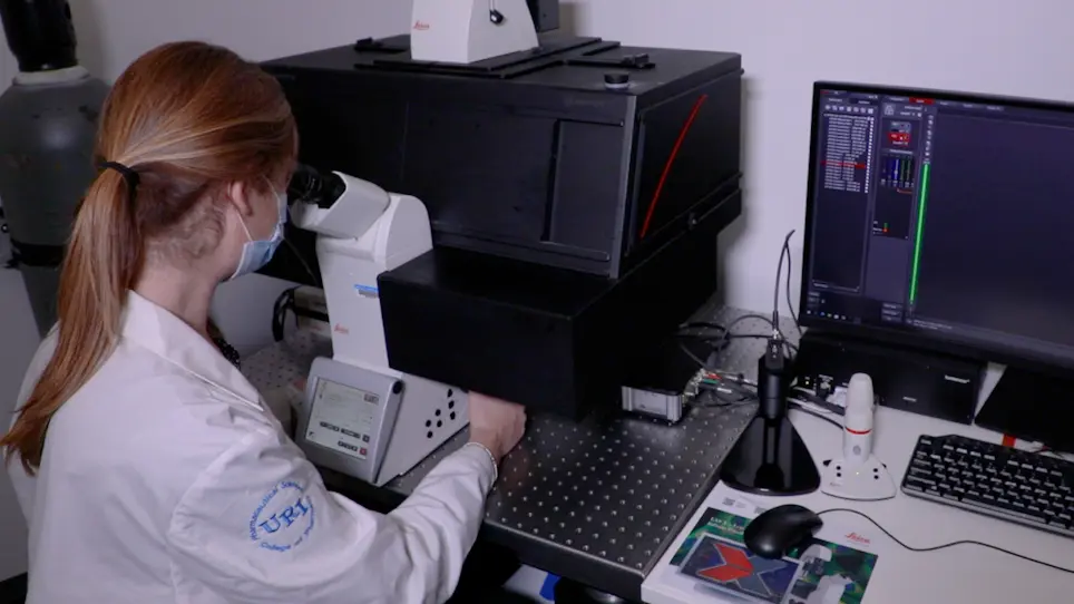 Histological-Based Stainings Using Free-Floating Tissue Sections
