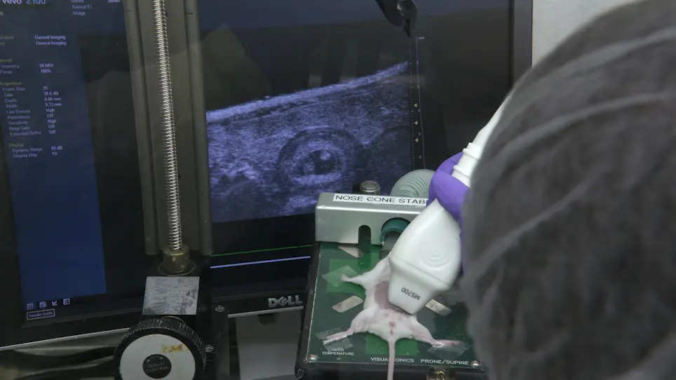 In Vivo CRISPR/Cas9 Screening to Simultaneously Evaluate Gene Function in Mouse Skin and Oral Cavity