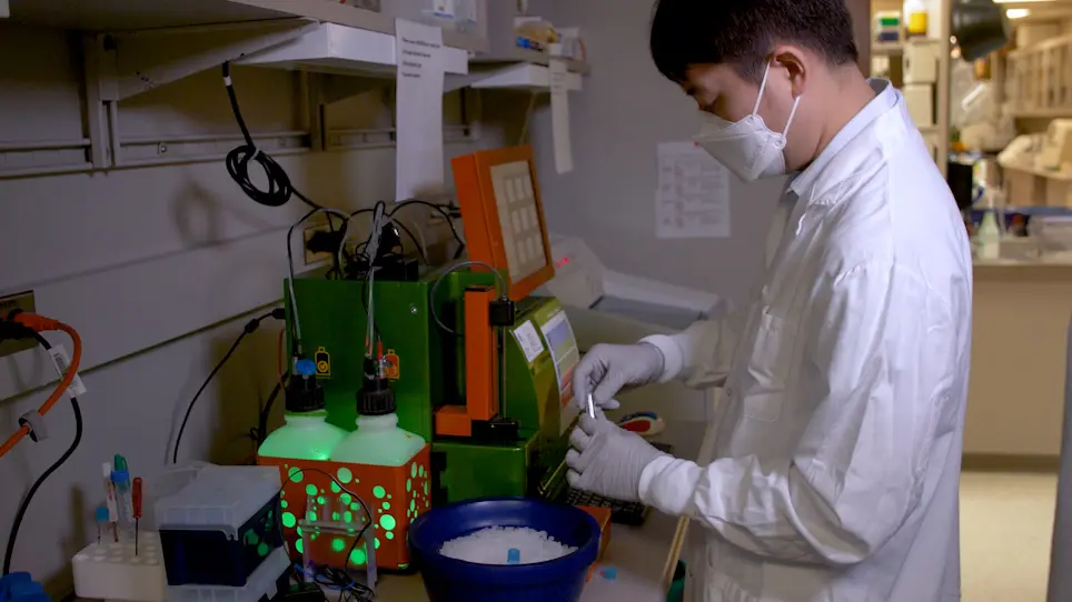 Preparation of Adipose Progenitor Cells from Mouse Epididymal Adipose Tissues