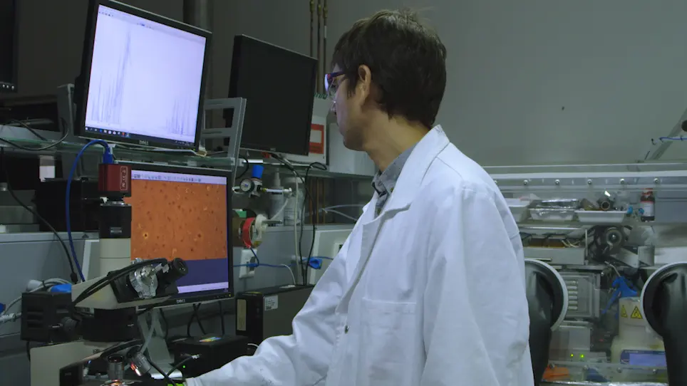 Flash Infrared Annealing for Perovskite Solar Cell Processing