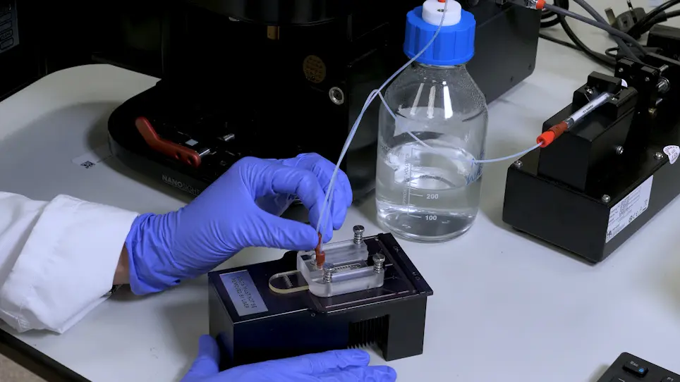 Nanoparticle Tracking Analysis of Gold Nanoparticles in Aqueous Media through an Inter-Laboratory Comparison