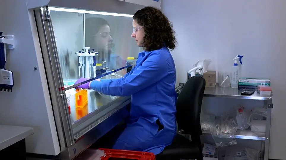 High-Throughput Cellular Profiling of Targeted Protein Degradation Compounds Using HiBiT CRISPR Cell Lines