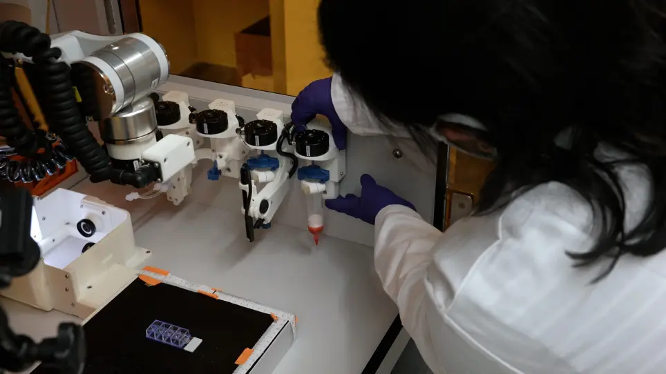 Direct Bioprinting of 3D Multicellular Breast Spheroids onto Endothelial Networks