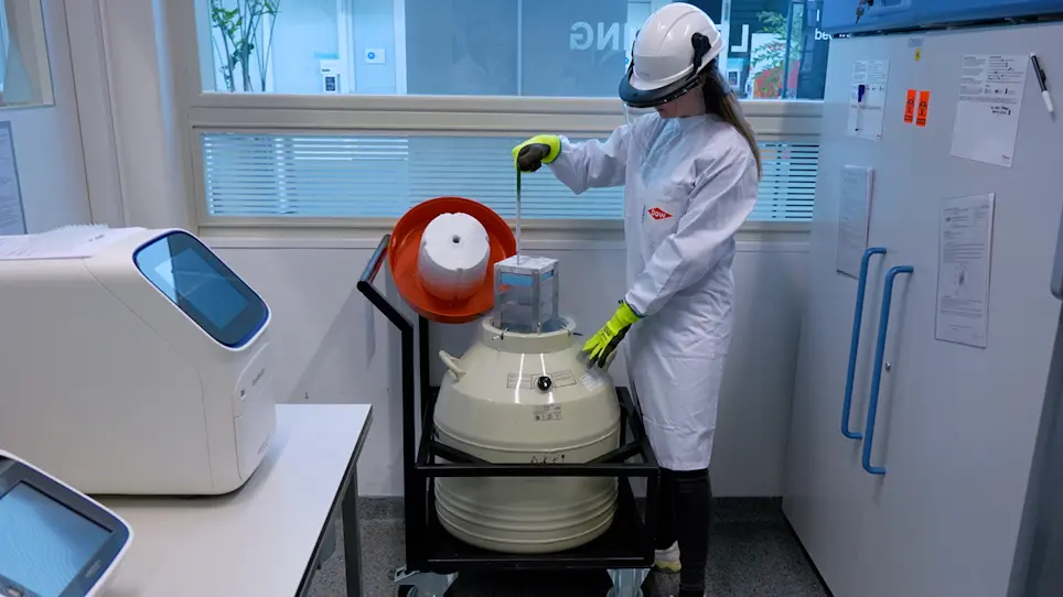 Cultivating a Three-dimensional Reconstructed Human Epidermis at a Large Scale