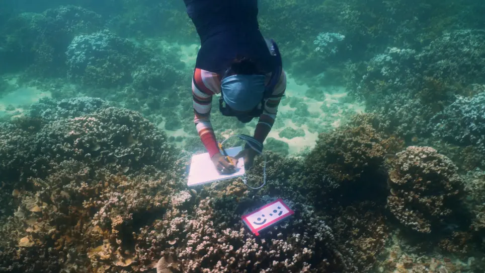 A Field Primer for Monitoring Benthic Ecosystems Using Structure-From-Motion Photogrammetry
