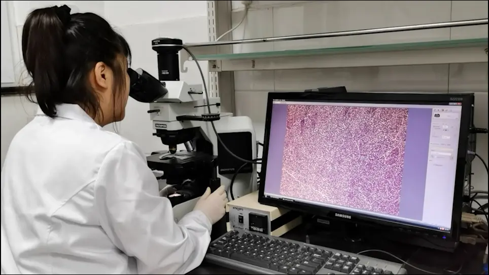 A Simple Dry Sectioning Method for Obtaining Whole-Seed-Sized Resin Section and Its Applications
