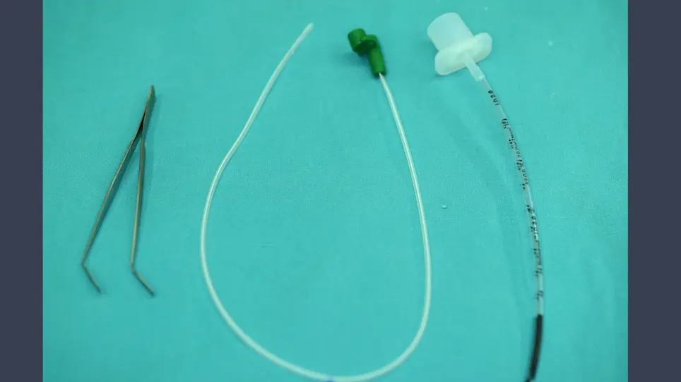 Blind Endotracheal Intubation in Neonatal Rabbits