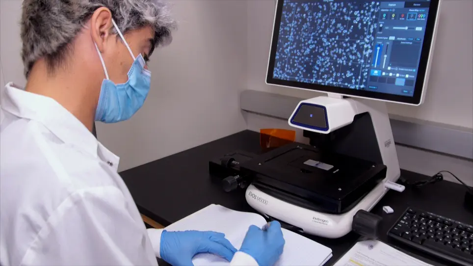 A Mouse Model to Investigate the Role of Cancer-Associated Fibroblasts in Tumor Growth