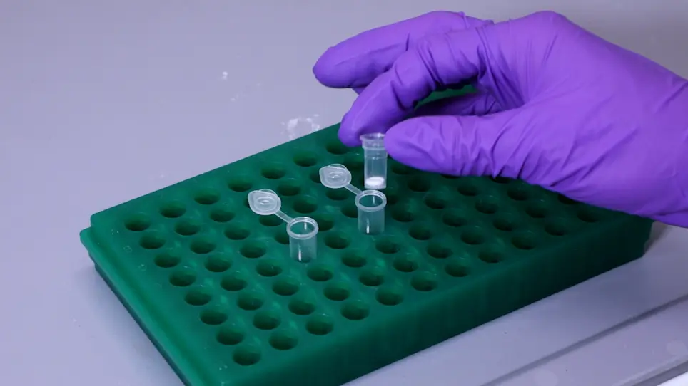 Fecal (micro) RNA Isolation