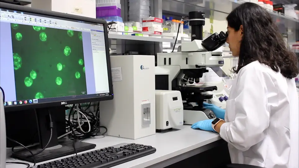 High-Throughput Metabolic Profiling for Model Refinements of Microalgae