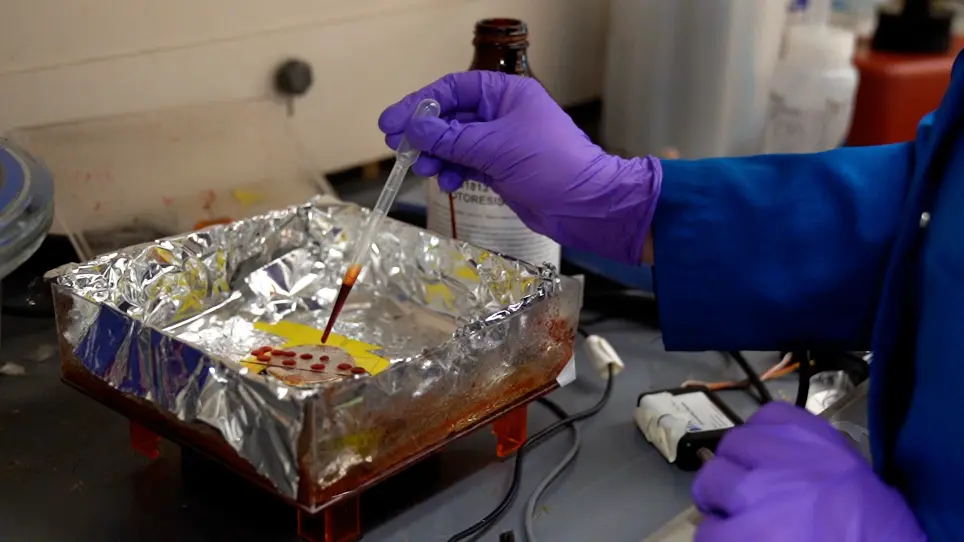 Simple, Affordable, and Modular Patterning of Cells using DNA
