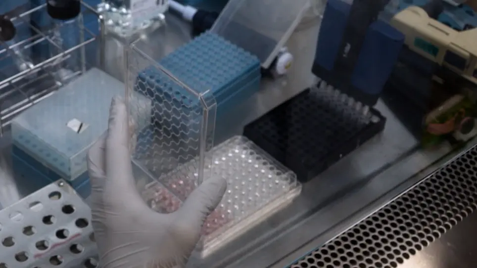 A Culture Method to Maintain Quiescent Human Hematopoietic Stem Cells