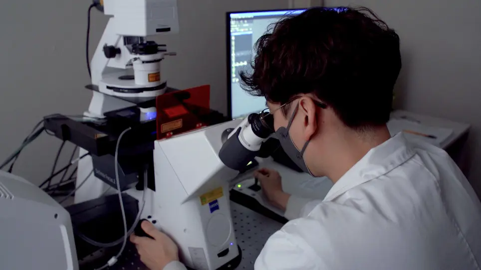 In vitro Time-lapse Live-Cell Imaging to Explore Cell Migration toward the Organ of Corti