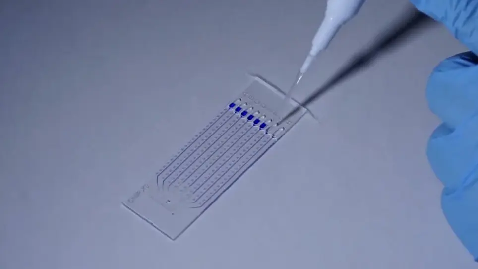 Crystallization and Structural Determination of an Enzyme:Substrate Complex by Serial Crystallography in a Versatile Microfluidic Chip