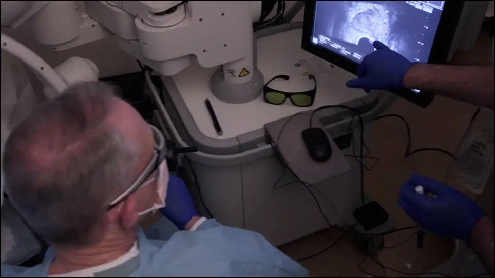 Focal Laser Ablation of Prostate Cancer: An Office Procedure