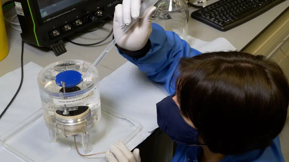 Studying Cavitation Enhanced Therapy