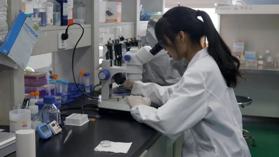 Using Immunofluorescence to Detect PM<sub>2.5</sub>-induced DNA Damage in Zebrafish Embryo Hearts