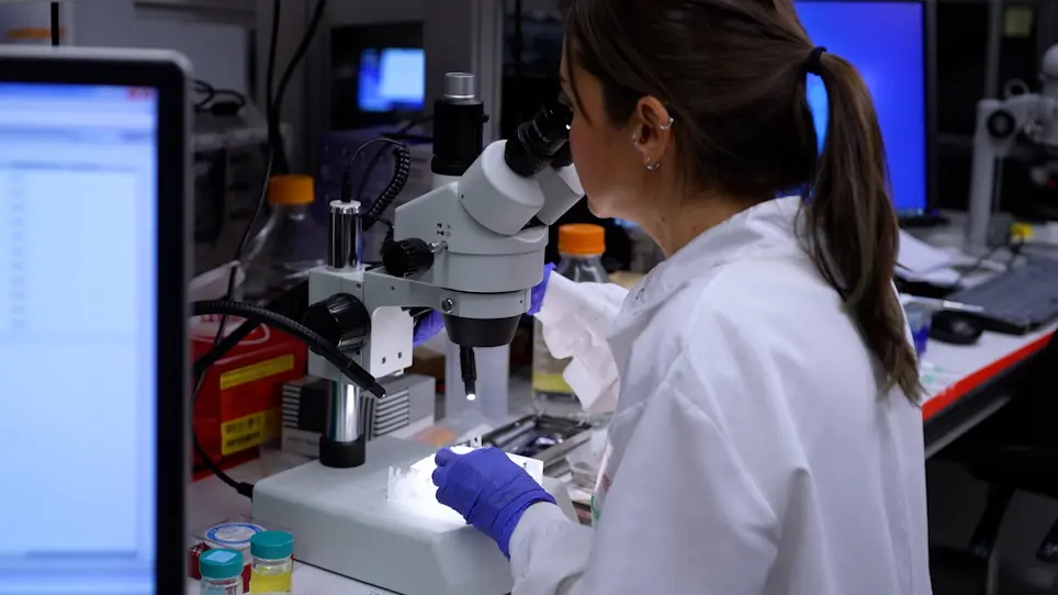 A Step-by-Step Guide to Mosquito Electroantennography