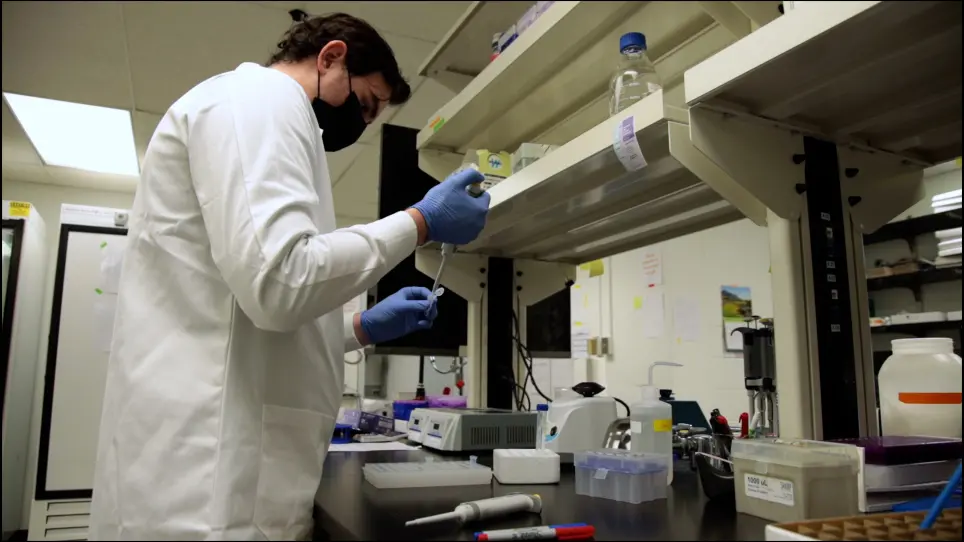 A Rapid Food-Preference Assay in <em>Drosophila</em>