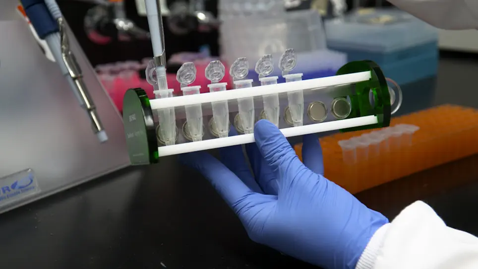Optimized Incorporation of Alkynyl Fatty Acid Analogs for the Detection of Fatty Acylated Proteins using Click Chemistry