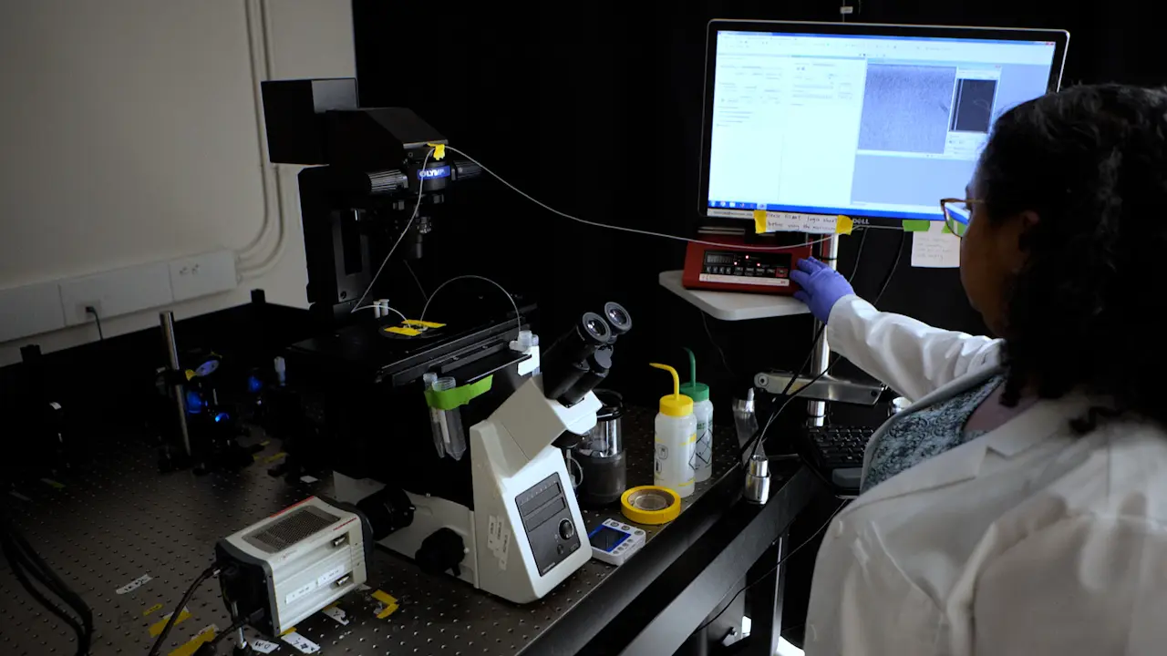 Single-Molecule Dwell-Time Analysis of Restriction Endonuclease-Mediated DNA Cleavage