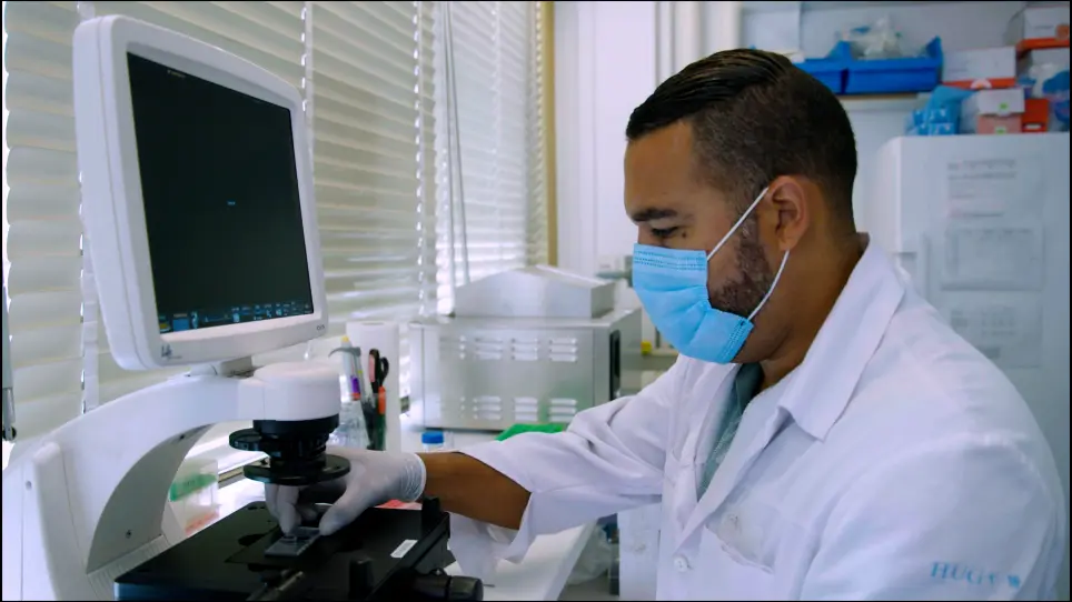 Isolation, Culture, and Genetic Engineering of Mammalian Primary Pigment Epithelial Cells for Non-Viral Gene Therapy