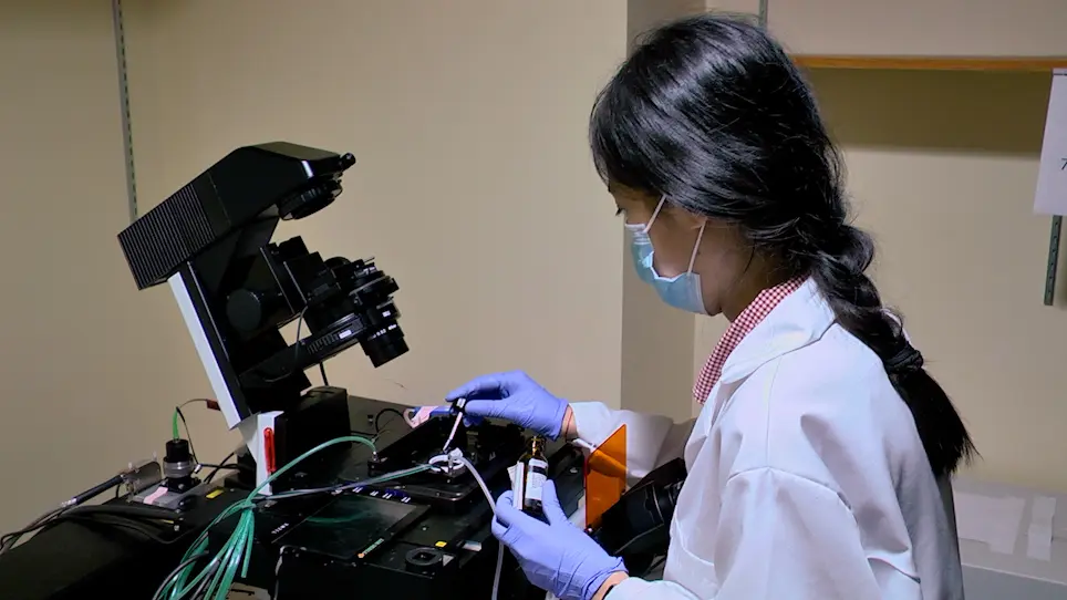 Chemical Dimerization-Induced Protein Condensates on Telomeres