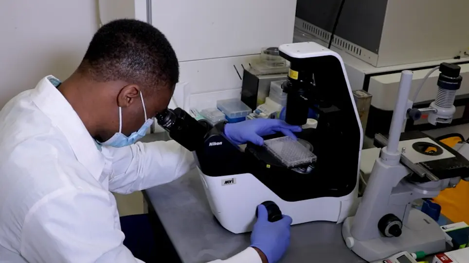 Establishing a High Throughput Epidermal Spheroid Culture System to Model Keratinocyte Stem Cell Plasticity