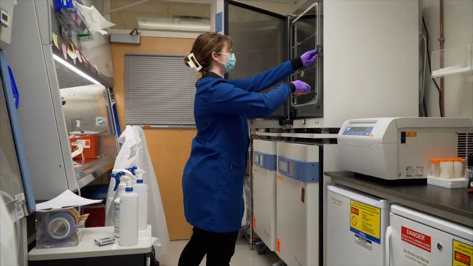 Observing Islet Function and Islet-Immune Cell Interactions in Live Pancreatic Tissue Slices