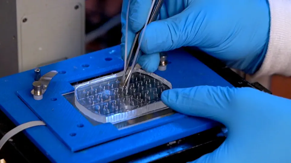 Particle Templated Emulsification enables Microfluidic-Free Droplet Assays