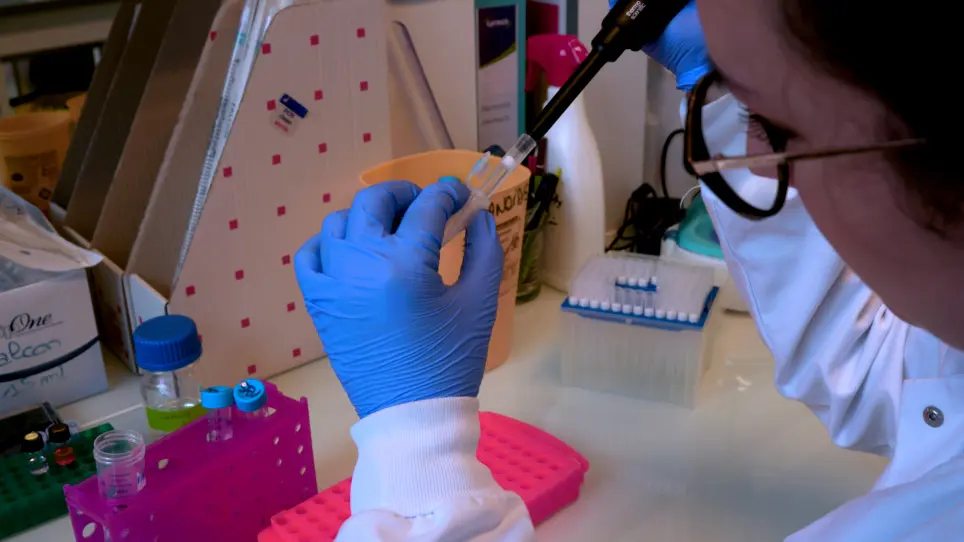 Staining and High-Resolution Imaging of Three-Dimensional Organoid and Spheroid Models