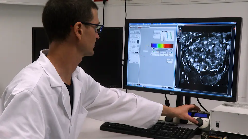 Confocal Laser Scanning Microscopy of Calcium Dynamics in Acute Mouse Pancreatic Tissue Slices