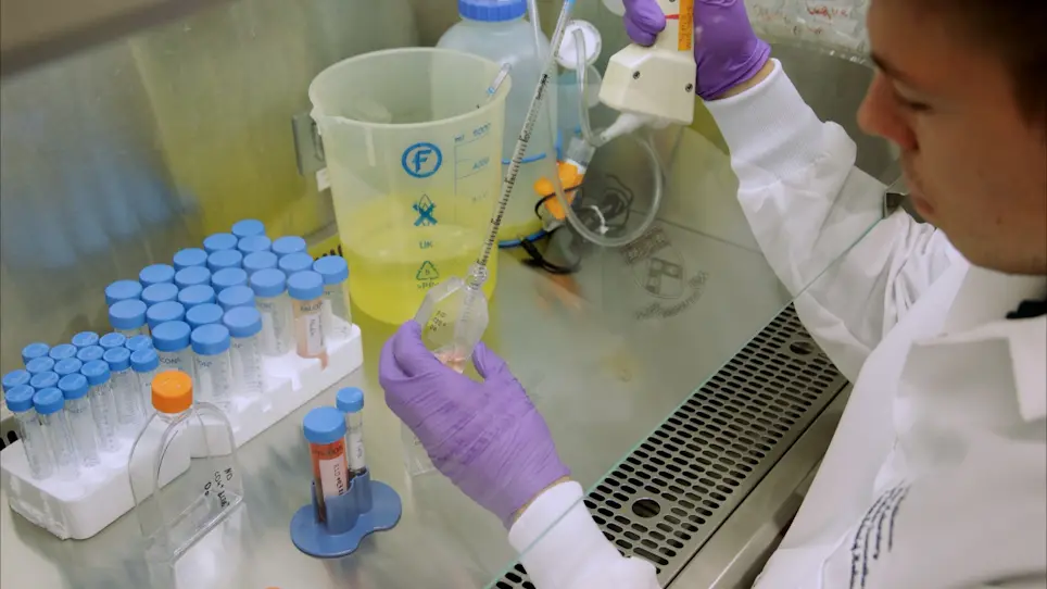 Production of Human CRISPR-Engineered CAR-T Cells