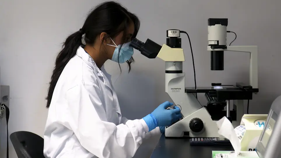 Assessing Functional Metrics of Skeletal Muscle Health in Human Skeletal Muscle Microtissues