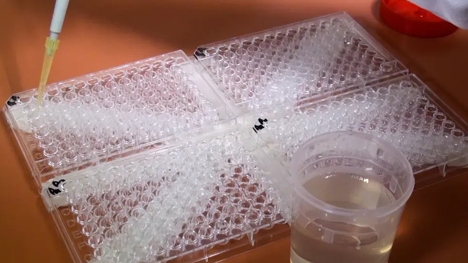 Quadruple-Checkerboard: A Modification of the Three-Dimensional Checkerboard for Studying Drug Combinations