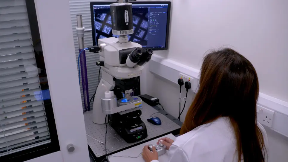 Preparing Lamellae from Vitreous Biological Samples Using a Dual-Beam Scanning Electron Microscope for Cryo-Electron Tomography