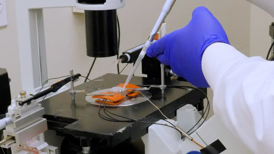 Temperature-Controlled Assembly and Characterization of a Droplet Interface Bilayer
