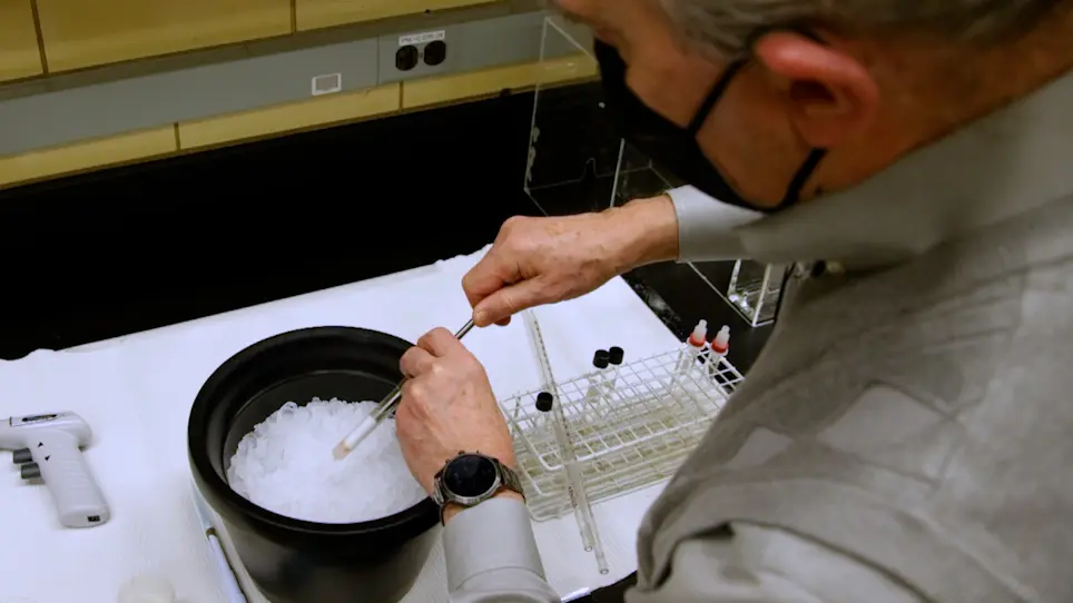 Ganglioside Extraction, Purification and Profiling