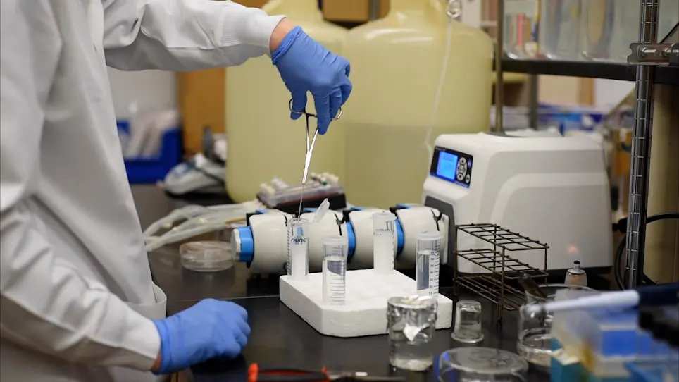 Harvesting and Disaggregation: An Overlooked Step in Biofilm Methods Research