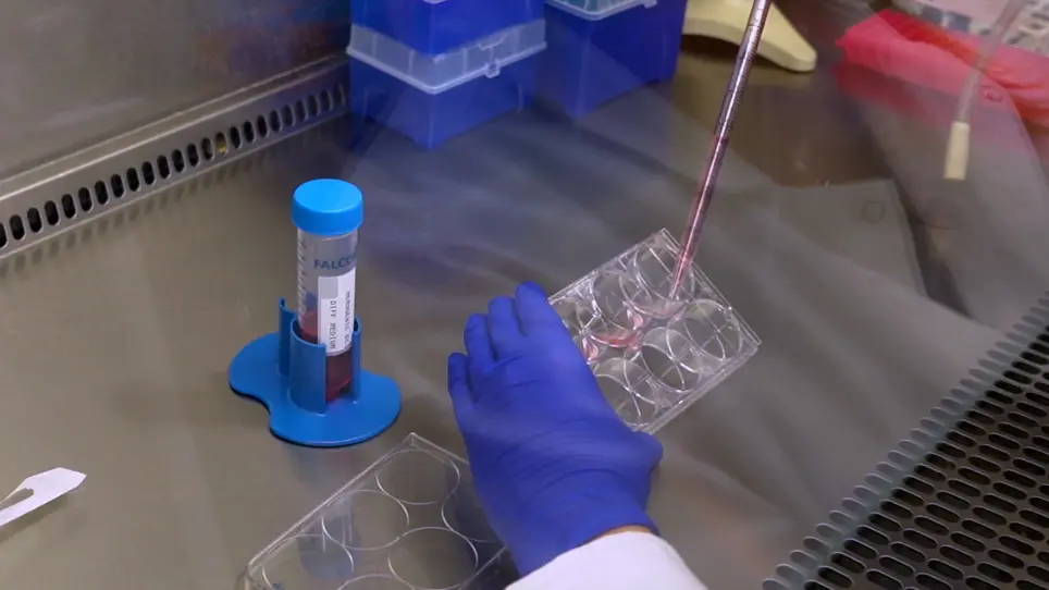 Directed Differentiation of Hemogenic Endothelial Cells from Human Pluripotent Stem Cells