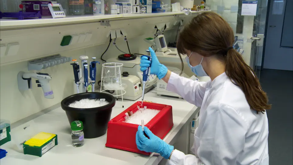 <em>In Vitro</em> Analysis of E3 Ubiquitin Ligase Function