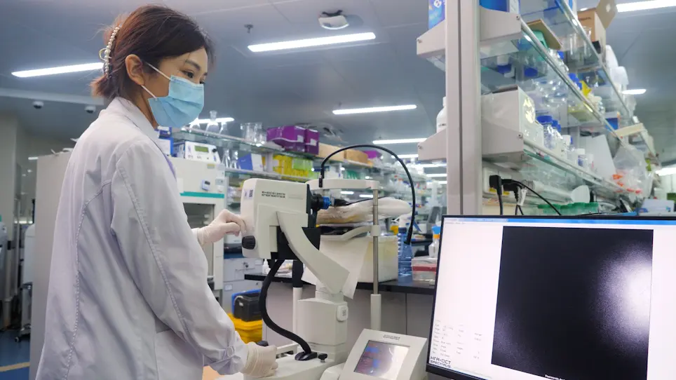 Monitoring Dynamic Growth of Retinal Vessels in Oxygen-Induced Retinopathy Mouse Model