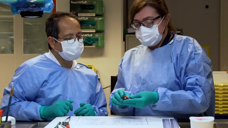 Intraoperative Assessment of Resection Margins in Oral Cavity Cancer: This is the Way
