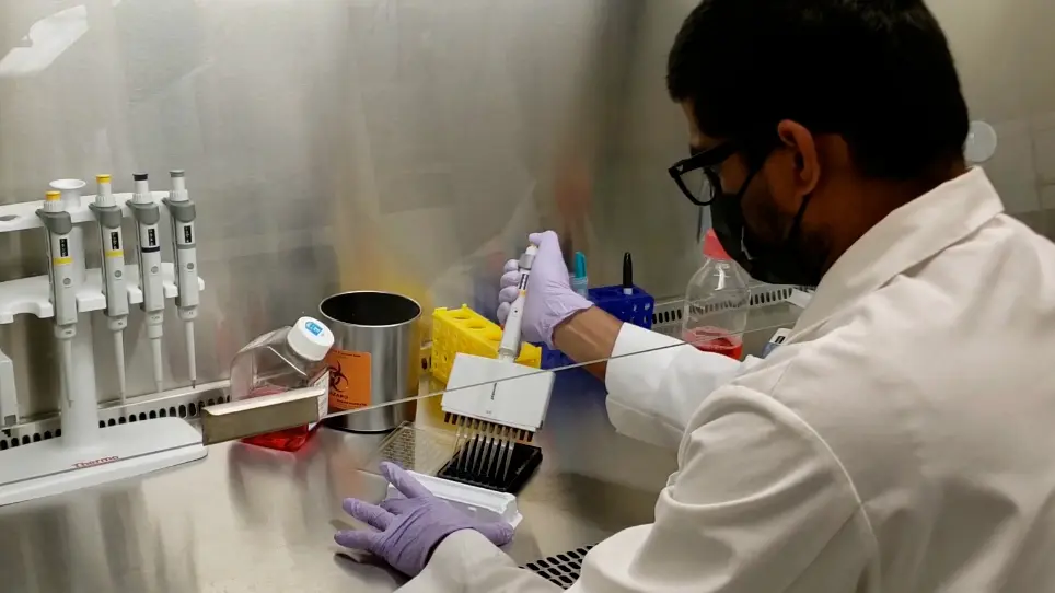 Screening Peptides that Activate MRGPRX2 using Engineered HEK Cells