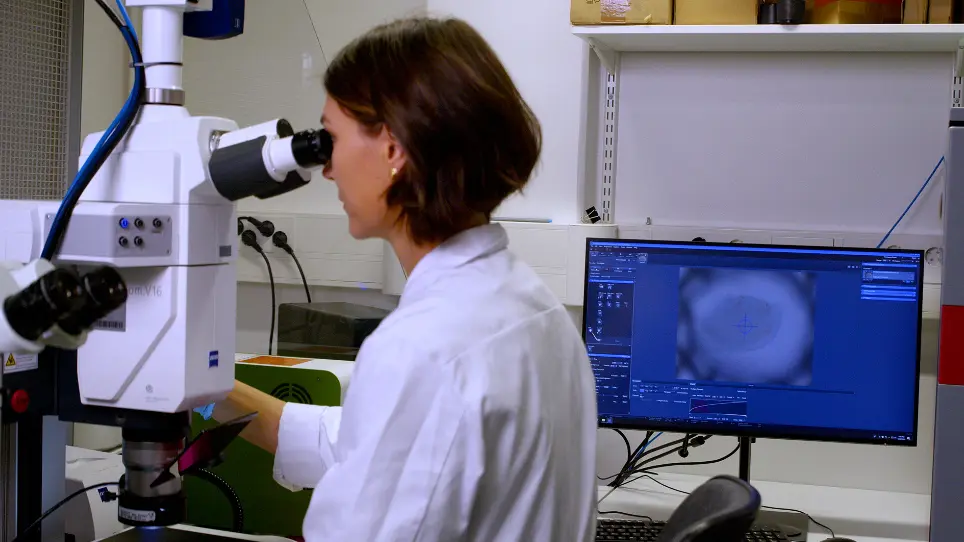 Use of Trowell-Type Organ Culture to Study Regulation of Dental Stem Cells