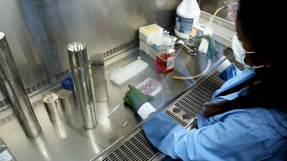 Detection of SARS-CoV-2 Receptor-Binding Domain Antibody using a HiBiT-Based Bioreporter