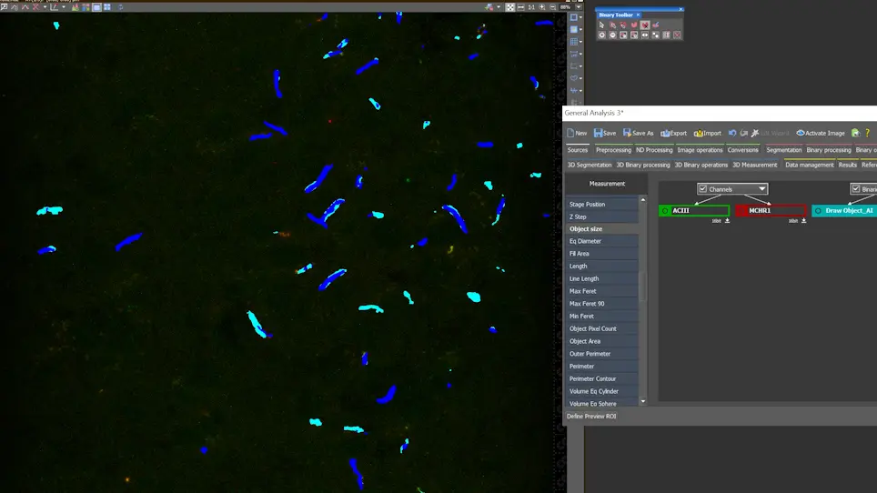 Artificial Intelligence Approaches to Assessing Primary Cilia
