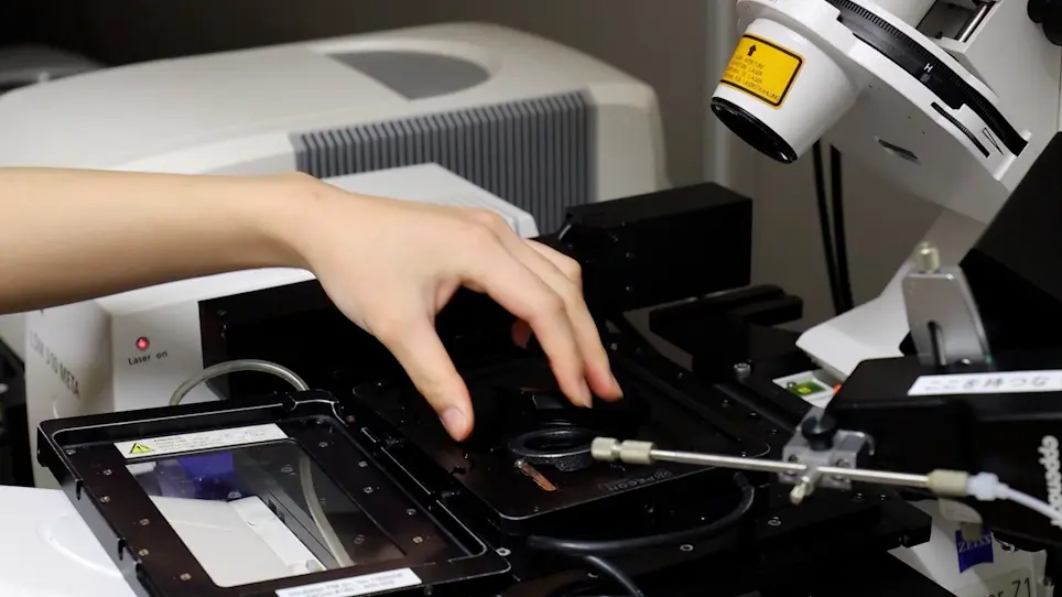 Detection of Protein Aggregation using Fluorescence Correlation Spectroscopy