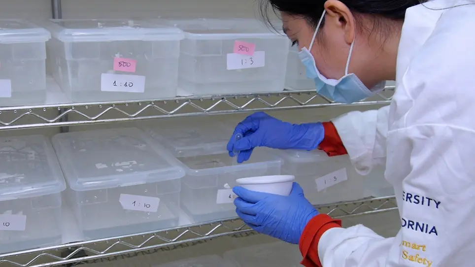 Small-Cage Laboratory Trials of Genetically-Engineered Anopheline Mosquitoes