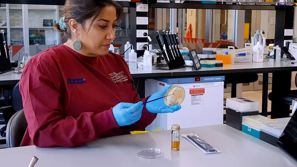 Small-Scale Plasma Membrane Preparation for the Analysis of <em>Candida albicans</em> Cdr1-mGFPHis